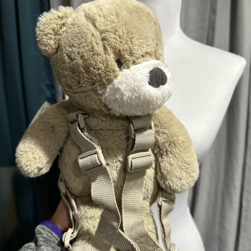 Toddler harness